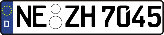 NE-ZH7045
