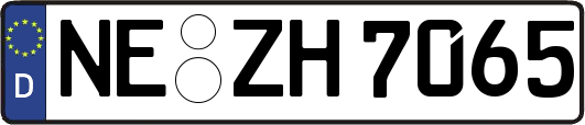 NE-ZH7065