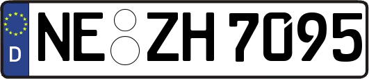 NE-ZH7095