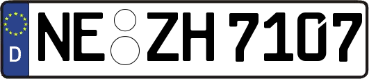 NE-ZH7107