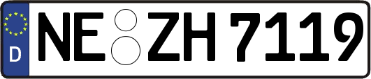 NE-ZH7119