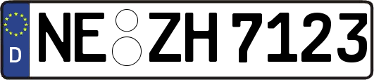 NE-ZH7123
