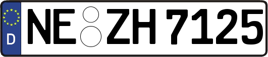 NE-ZH7125