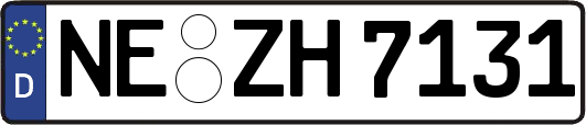 NE-ZH7131