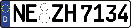 NE-ZH7134