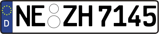 NE-ZH7145