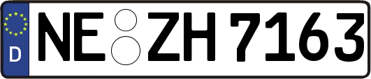 NE-ZH7163