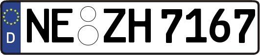 NE-ZH7167