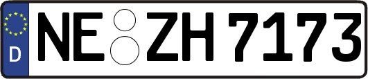 NE-ZH7173