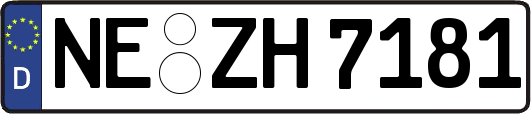 NE-ZH7181
