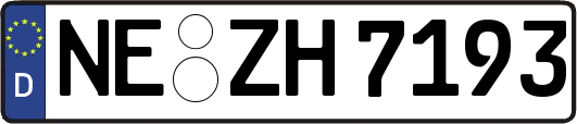 NE-ZH7193