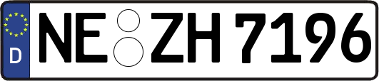NE-ZH7196
