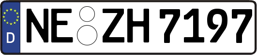 NE-ZH7197