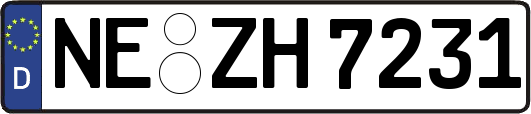 NE-ZH7231