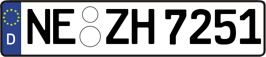 NE-ZH7251