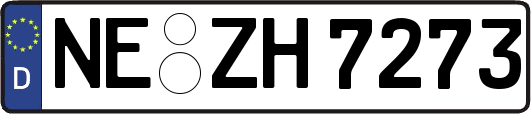 NE-ZH7273