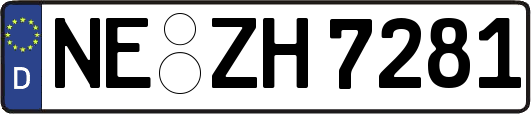 NE-ZH7281