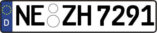 NE-ZH7291