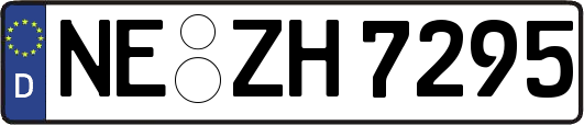 NE-ZH7295