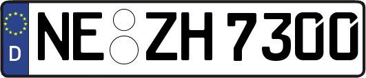 NE-ZH7300