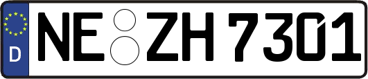 NE-ZH7301
