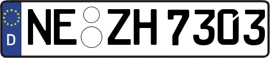 NE-ZH7303
