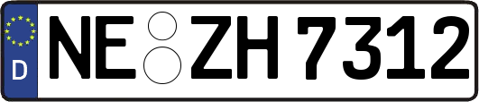 NE-ZH7312