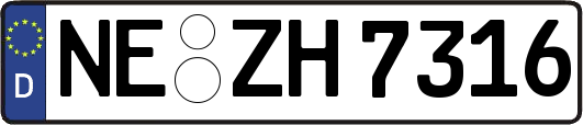 NE-ZH7316