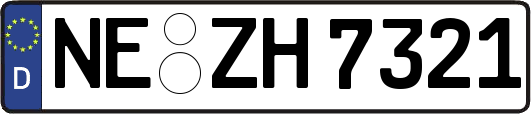 NE-ZH7321