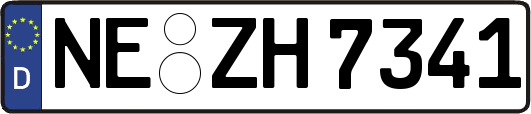 NE-ZH7341