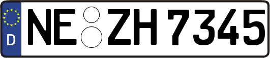 NE-ZH7345