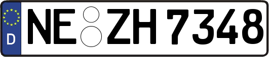 NE-ZH7348