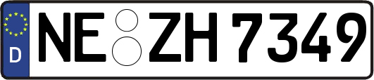 NE-ZH7349