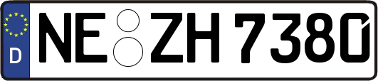 NE-ZH7380