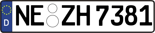 NE-ZH7381