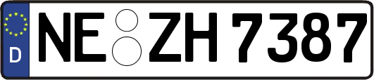 NE-ZH7387