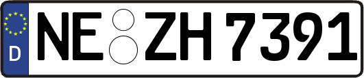 NE-ZH7391