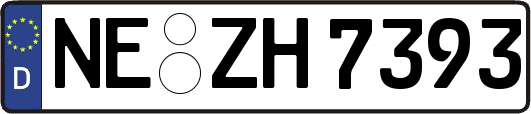 NE-ZH7393