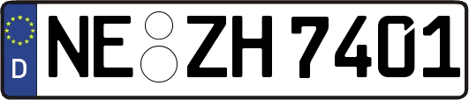 NE-ZH7401
