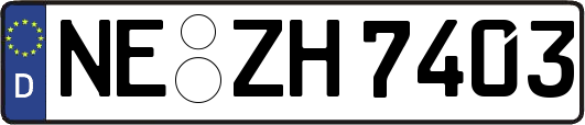 NE-ZH7403