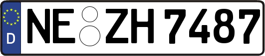 NE-ZH7487