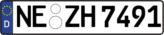 NE-ZH7491