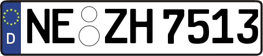 NE-ZH7513