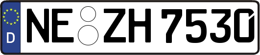 NE-ZH7530
