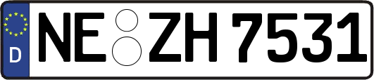 NE-ZH7531
