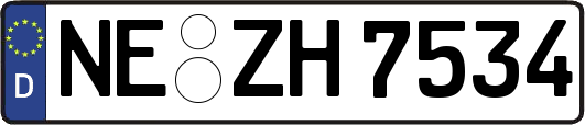 NE-ZH7534