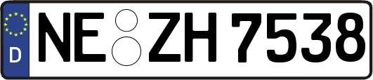 NE-ZH7538