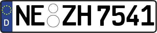 NE-ZH7541