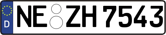 NE-ZH7543
