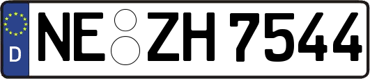 NE-ZH7544